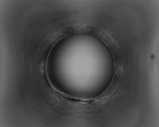 X0000097951010200804011629