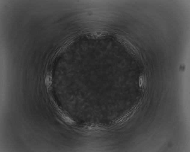 X0000097951011200804011629