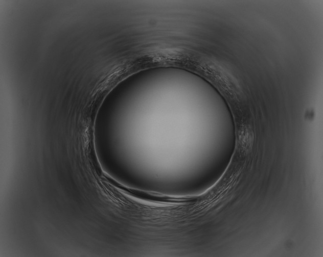 X0000097951012200804011629