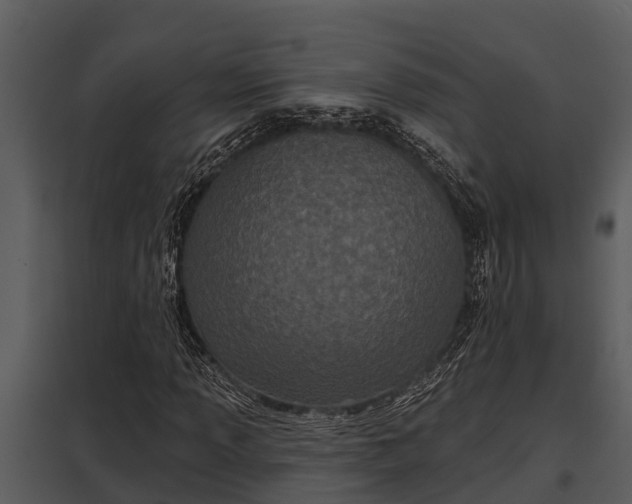 X0000097951013200804011629