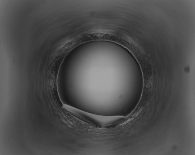 X0000097951014200804011629
