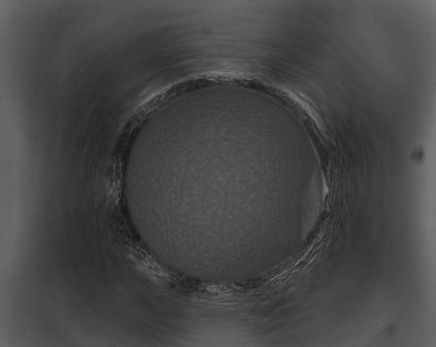 X0000097951015200804011629