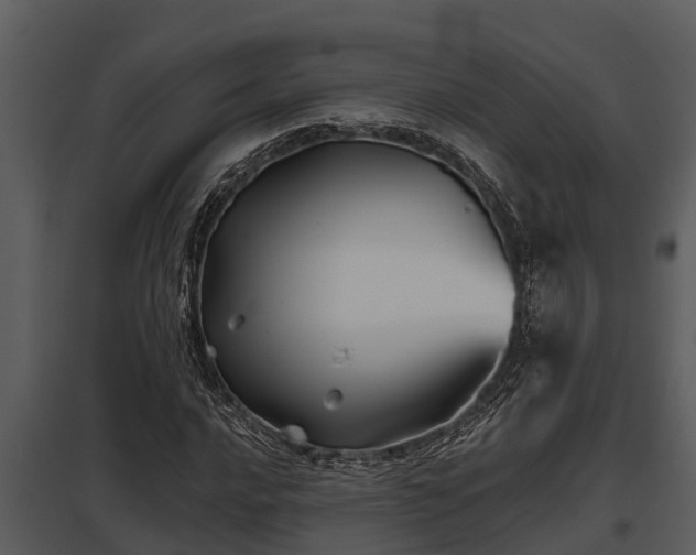 X0000097951016200804011629
