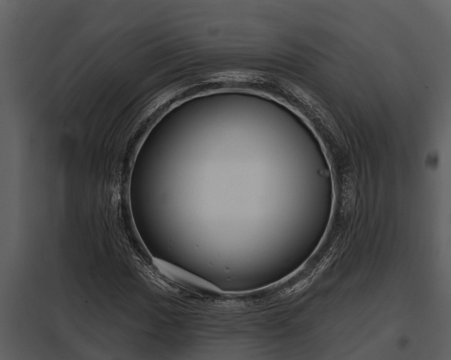 X0000097951017200804011629