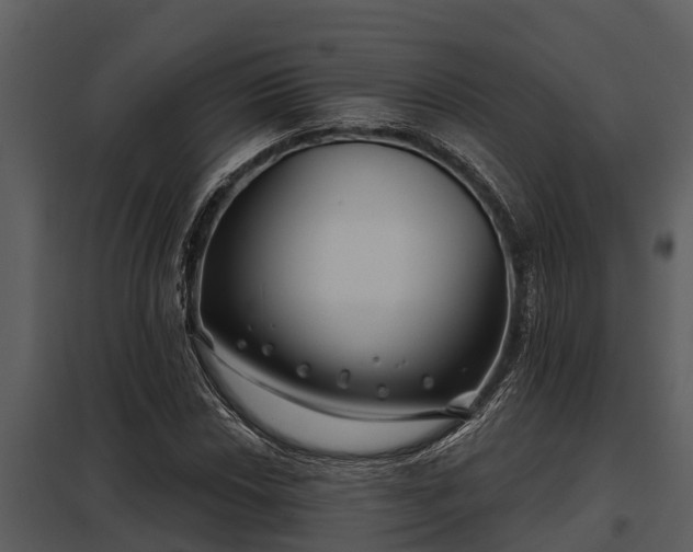 X0000097951018200804011629