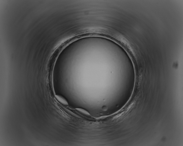 X0000097951019200804011629