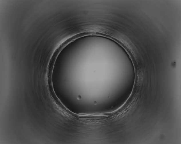 X0000097951020200804011629