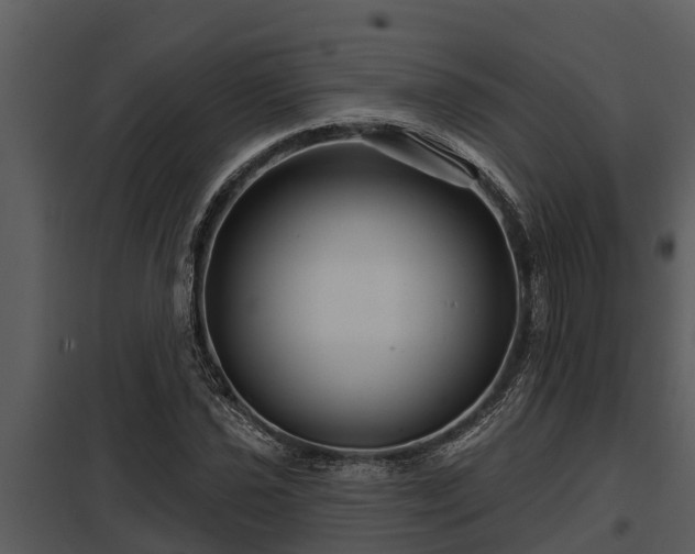 X0000097951021200804011629