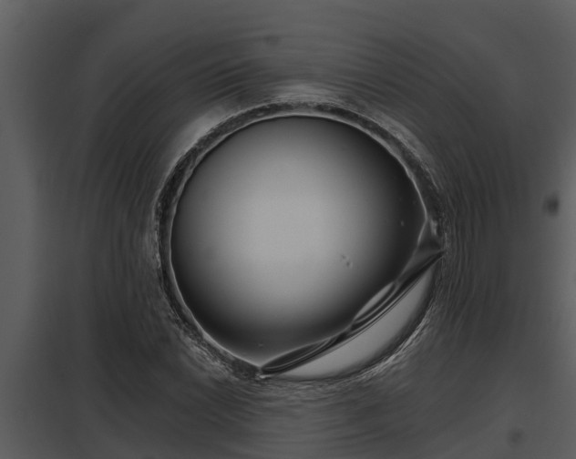 X0000097951022200804011629