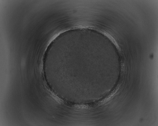 X0000097951023200804011630