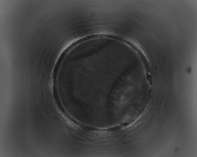 X0000097951024200804011630