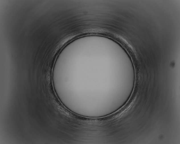 X0000097951025200804011630