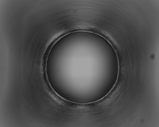 X0000097951026200804011630