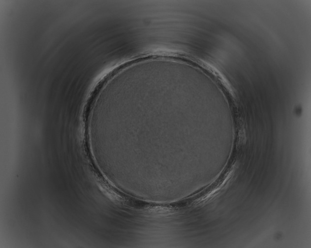 X0000097951027200804011630