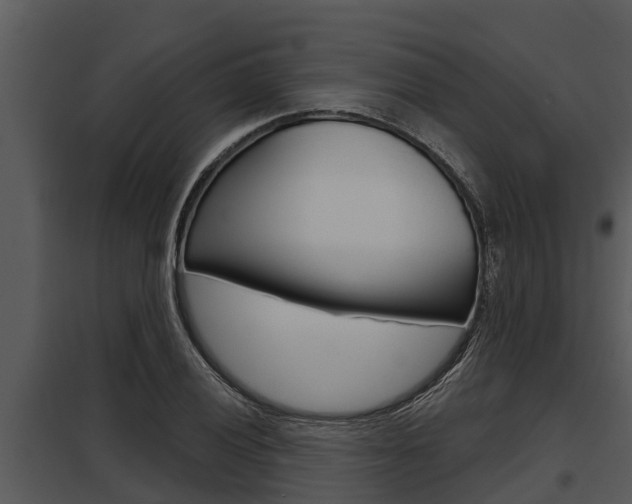 X0000097951028200804011630
