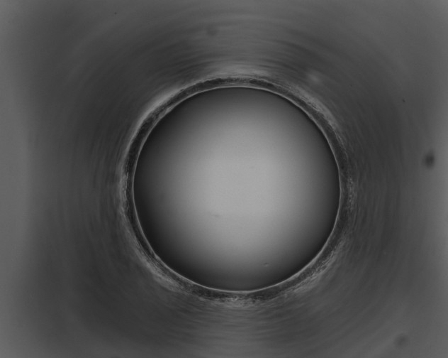 X0000097951029200804011630