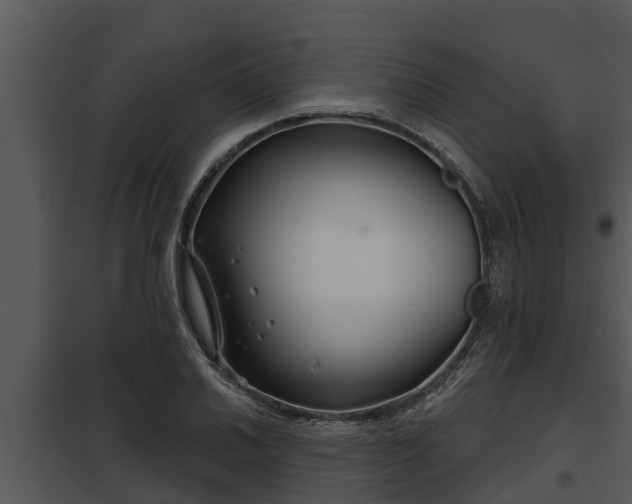 X0000097951030200804011630