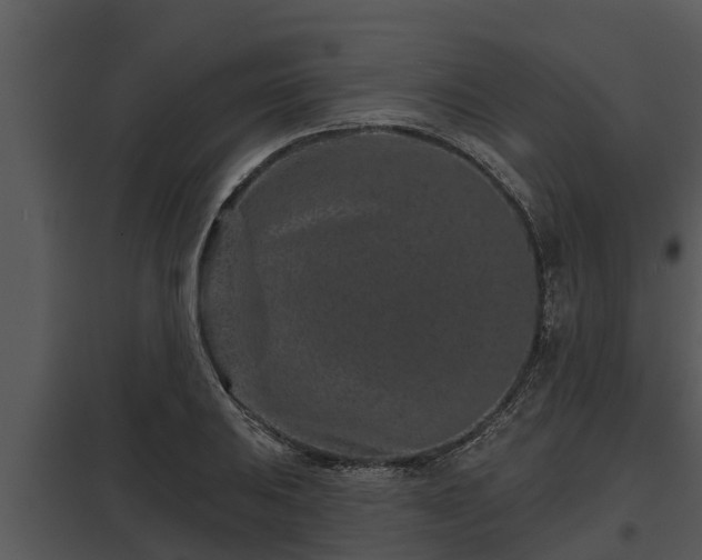 X0000097951031200804011630