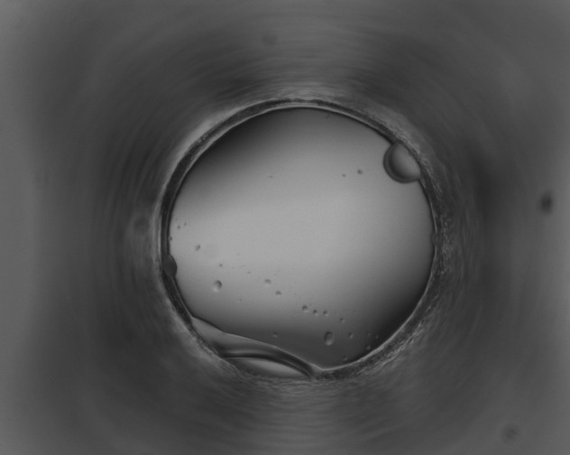X0000097951032200804011630