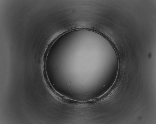 X0000097951034200804011630