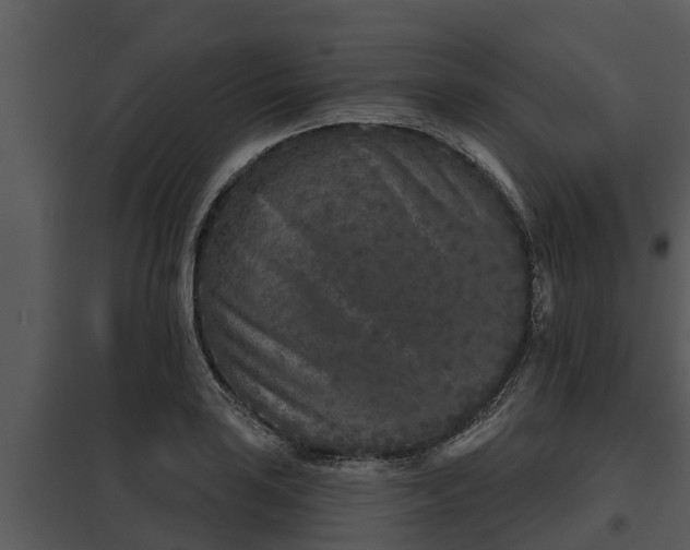 X0000097951035200804011630
