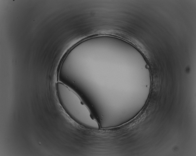 X0000097951036200804011630