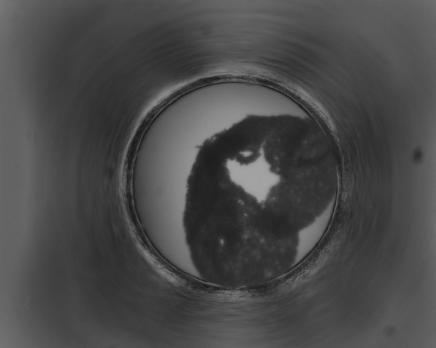 X0000097951037200804011630