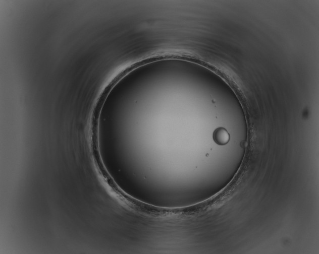 X0000097951038200804011630