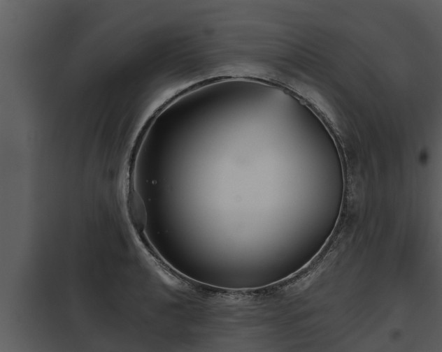 X0000097951040200804011630