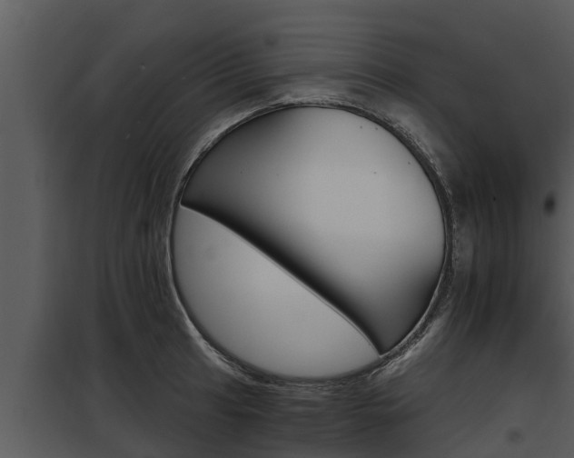 X0000097951041200804011630