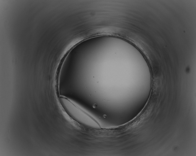 X0000097951042200804011630