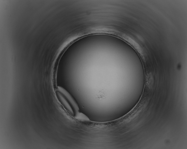 X0000097951043200804011630