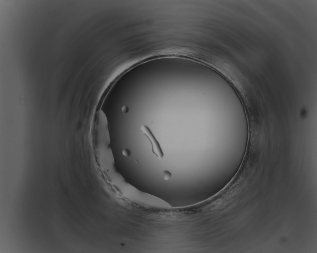 X0000097951044200804011630