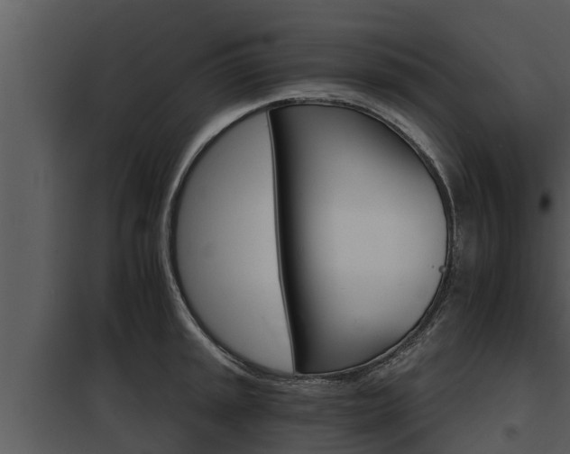 X0000097951045200804011630