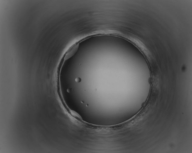 X0000097951046200804011630