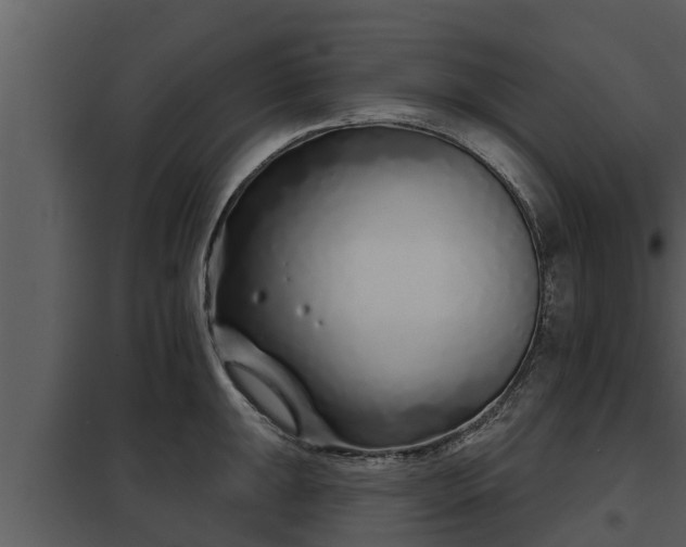 X0000097951047200804011630