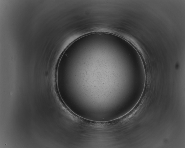 X0000097951048200804011630