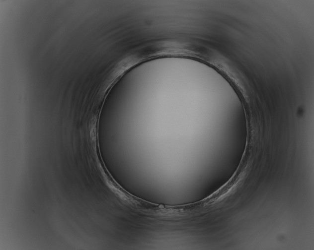 X0000097951049200804011630