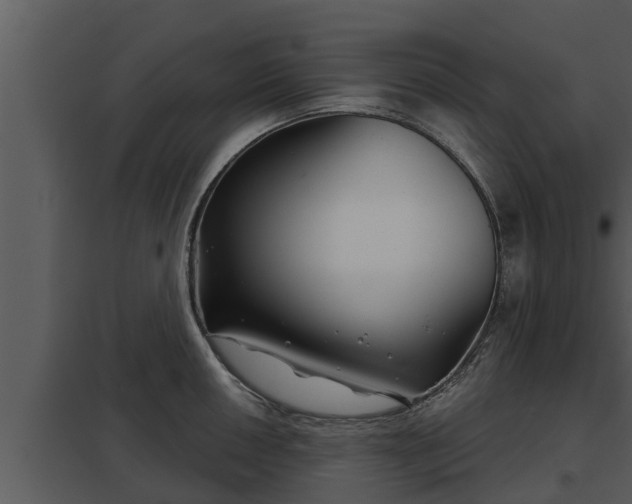 X0000097951050200804011630