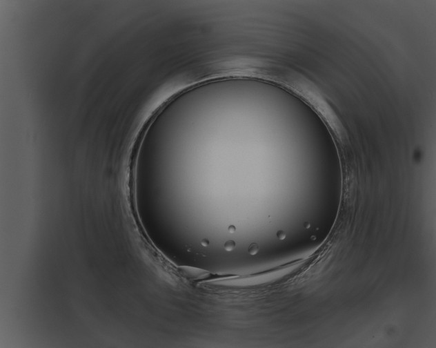 X0000097951051200804011630