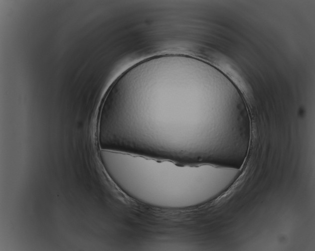 X0000097951052200804011630