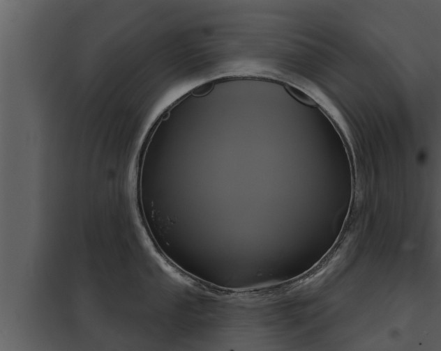X0000097951053200804011630