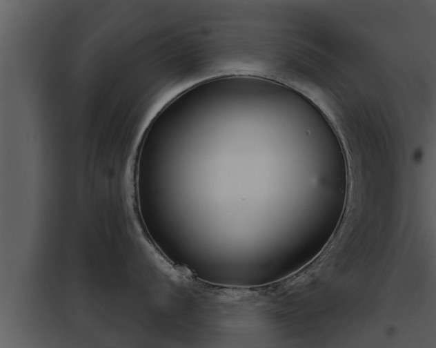 X0000097951056200804011630