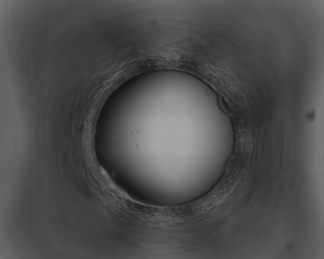 X0000097951057200804011629