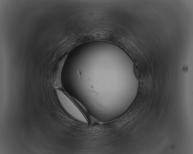 X0000097951058200804011629