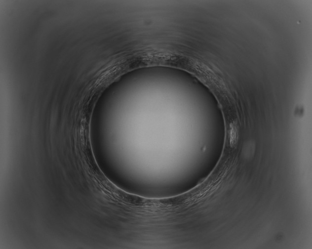 X0000097951059200804011629
