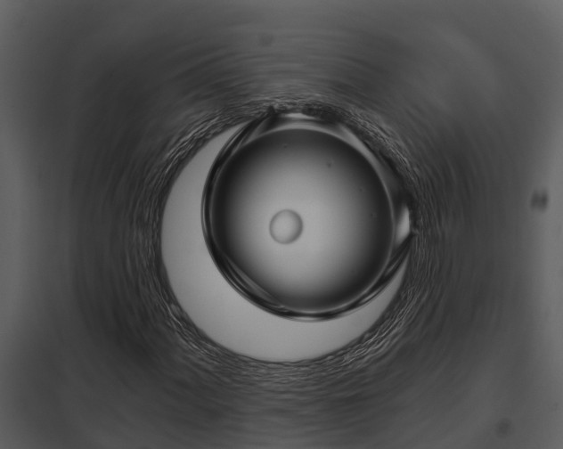 X0000097951060200804011629