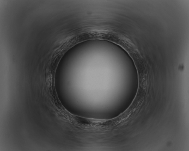 X0000097951061200804011629