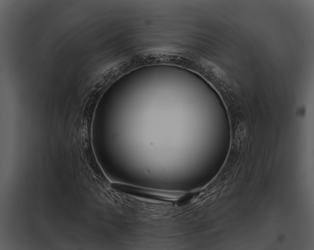 X0000097951062200804011629