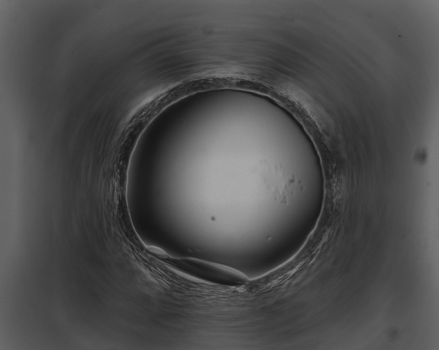 X0000097951064200804011629